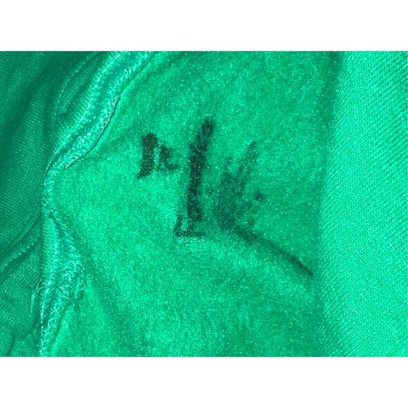 Oregon Ducks Fanatics Branded Team Campus Pullover Hoodie - Green - Picture 2 of 4